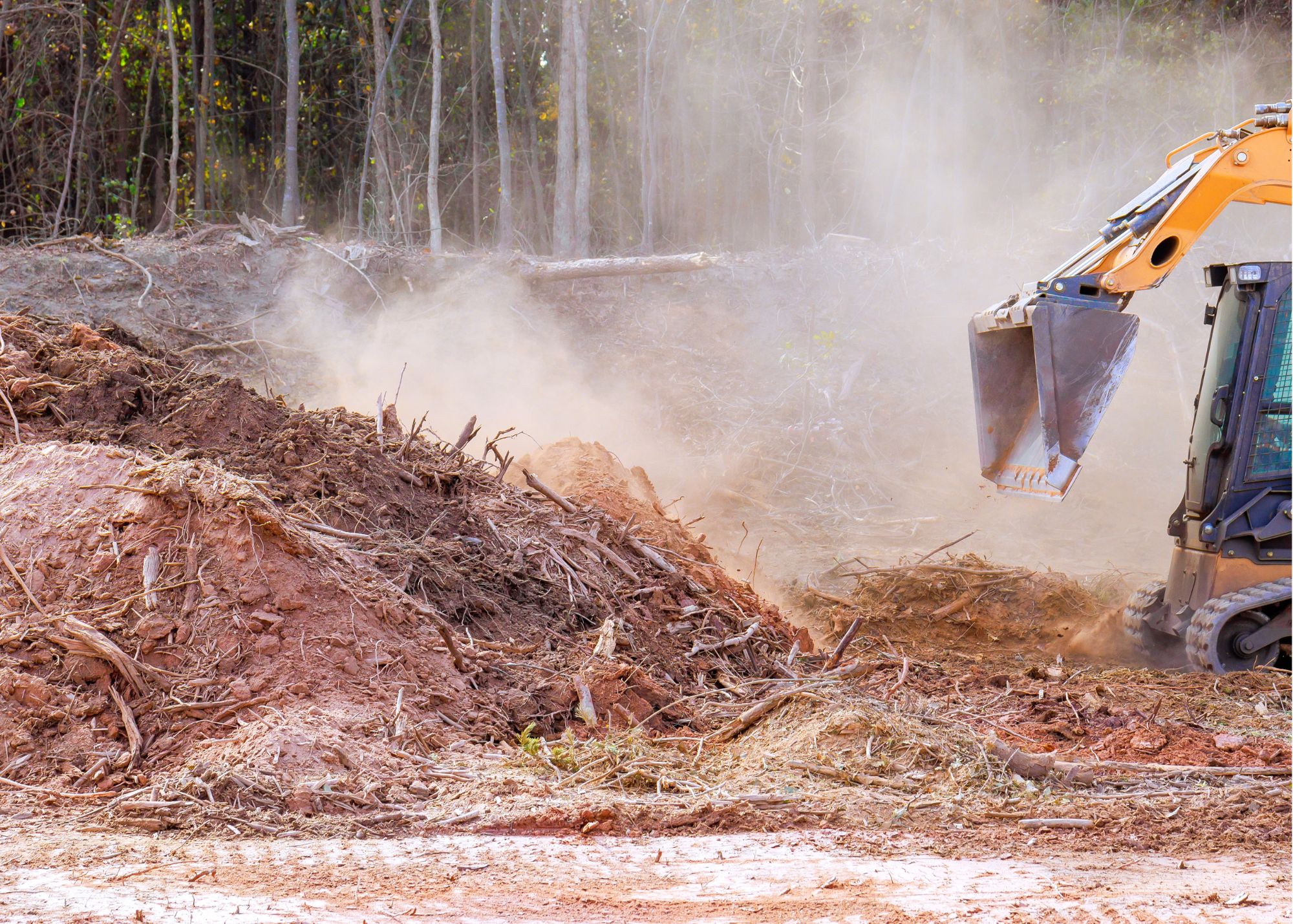 Land Clearing - Modern Shovel LLC services in Memphis and Millington TN