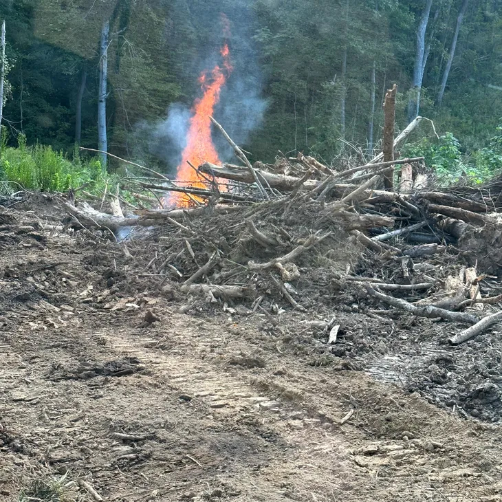 Cleared land and burn pile on a rural West Tennessee tract